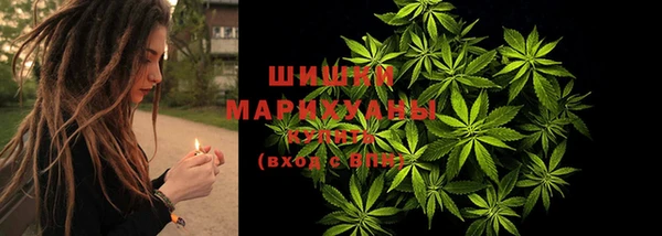 гидропоника Беломорск
