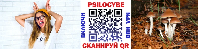 Псилоцибиновые грибы ЛСД купить Выкса